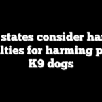 6 US states consider harsher penalties for harming police K9 dogs