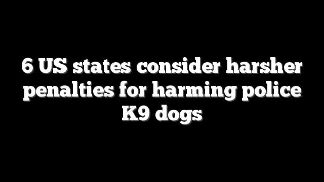 6 US states consider harsher penalties for harming police K9 dogs