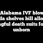 Amid Alabama IVF blowback, Florida shelves bill allowing wrongful death suits for the unborn