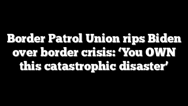 Border Patrol Union rips Biden over border crisis: ‘You OWN this catastrophic disaster’