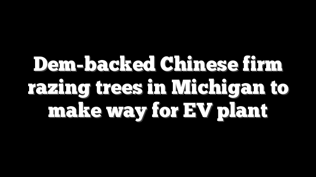 Dem-backed Chinese firm razing trees in Michigan to make way for EV plant