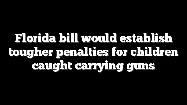 Florida bill would establish tougher penalties for children caught carrying guns