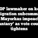 GOP lawmaker on key immigration subcommittee slams Mayorkas impeachment ‘fantasy’ as vote count tightens