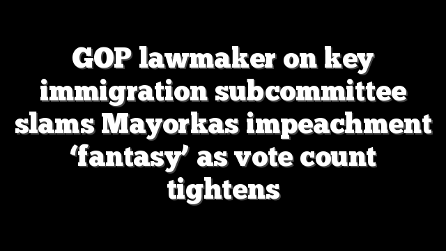 GOP lawmaker on key immigration subcommittee slams Mayorkas impeachment ‘fantasy’ as vote count tightens