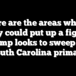 Here are the areas where Haley could put up a fight as Trump looks to sweep the South Carolina primary