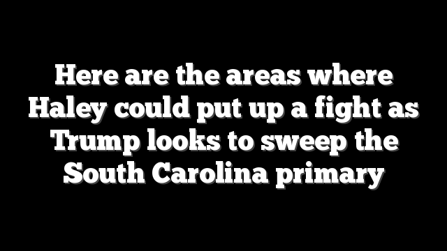 Here are the areas where Haley could put up a fight as Trump looks to sweep the South Carolina primary