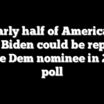 Nearly half of Americans think Biden could be replaced as the Dem nominee in 2024: poll