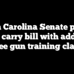 South Carolina Senate passes open carry bill with addition of free gun training classes