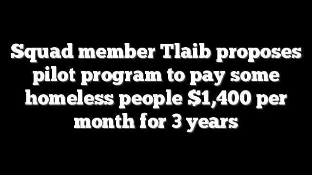 Squad member Tlaib proposes pilot program to pay some homeless people $1,400 per month for 3 years