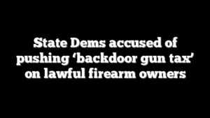 State Dems accused of pushing ‘backdoor gun tax’ on lawful firearm owners