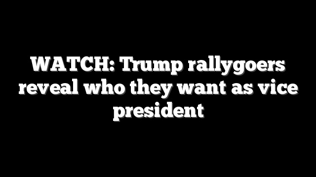 WATCH: Trump rallygoers reveal who they want as vice president