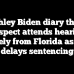 Ashley Biden diary theft: Suspect attends hearing remotely from Florida as judge delays sentencing