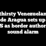 Bloodthirsty Venezuelan gang Tren de Aragua sets up shop in US as border authorities sound alarm