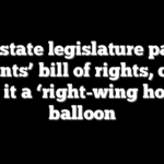 Blue state legislature passes parents’ bill of rights, critic calls it a ‘right-wing hot air’ balloon