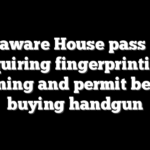 Delaware House pass bill requiring fingerprinting, training and permit before buying handgun