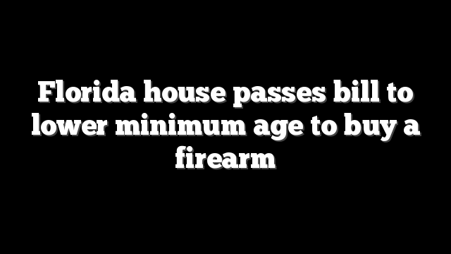 Florida house passes bill to lower minimum age to buy a firearm