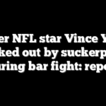Former NFL star Vince Young knocked out by suckerpunch during bar fight: report