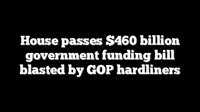House passes $460 billion government funding bill blasted by GOP hardliners