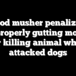 Iditarod musher penalized for improperly gutting moose after killing animal when it attacked dogs