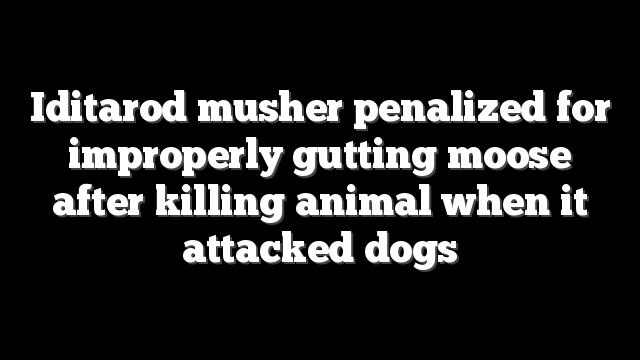 Iditarod musher penalized for improperly gutting moose after killing animal when it attacked dogs