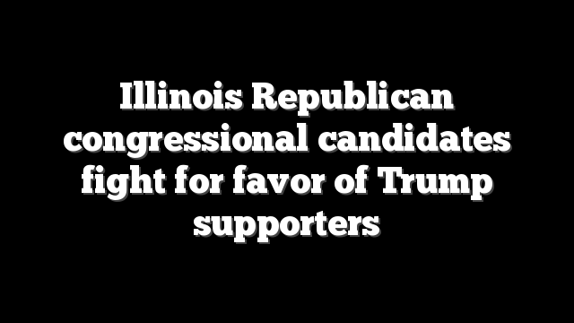 Illinois Republican congressional candidates fight for favor of Trump supporters