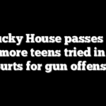 Kentucky House passes bill to have more teens tried in adult courts for gun offenses