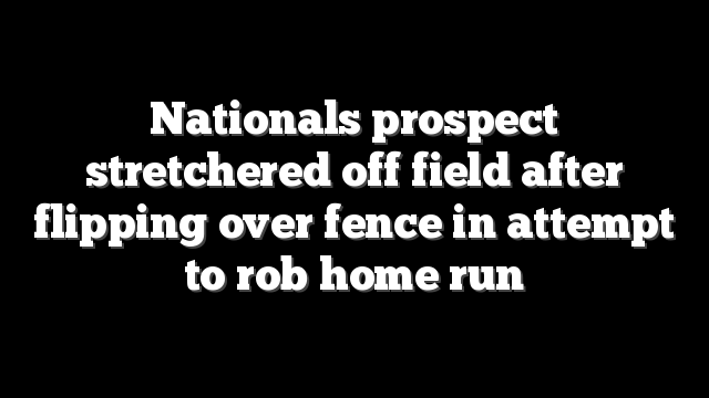 Nationals prospect stretchered off field after flipping over fence in attempt to rob home run