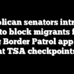 Republican senators introduce bill to block migrants from using Border Patrol app as ID at TSA checkpoints