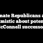 Senate Republicans are optimistic about potential McConnell successors