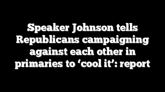 Speaker Johnson tells Republicans campaigning against each other in primaries to ‘cool it’: report