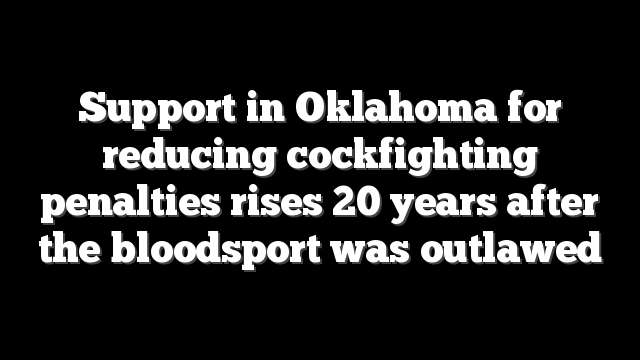 Support in Oklahoma for reducing cockfighting penalties rises 20 years after the bloodsport was outlawed