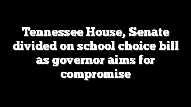 Tennessee House, Senate divided on school choice bill as governor aims for compromise