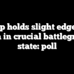 Trump holds slight edge over Biden in crucial battleground state: poll