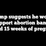 Trump suggests he would support abortion ban at around 15 weeks of pregnancy