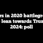 Voters in 2020 battleground state lean towards Trump in 2024: poll