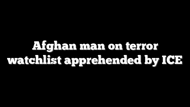 Afghan man on terror watchlist apprehended by ICE