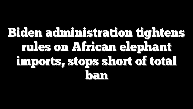 Biden administration tightens rules on African elephant imports, stops short of total ban