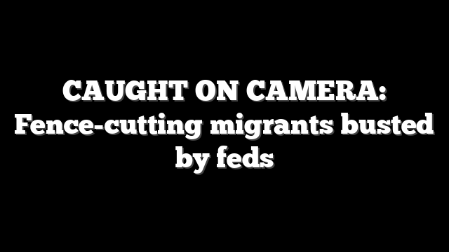 CAUGHT ON CAMERA: Fence-cutting migrants busted by feds