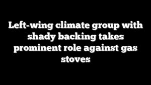 Left-wing climate group with shady backing takes prominent role against gas stoves