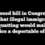Proposed bill in Congress to combat illegal immigrants squatting would make practice a deportable offense