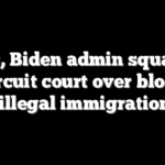 Texas, Biden admin square off in circuit court over blocked anti-illegal immigration law