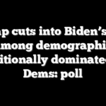 Trump cuts into Biden’s lead among demographic traditionally dominated by Dems: poll