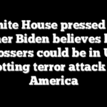 White House pressed on whether Biden believes border crossers could be in US plotting terror attack on America