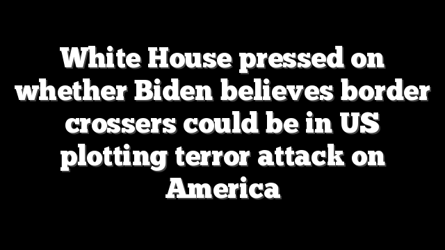 White House pressed on whether Biden believes border crossers could be in US plotting terror attack on America