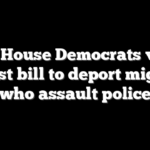 148 House Democrats vote against bill to deport migrants who assault police