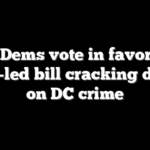 18 Dems vote in favor of GOP-led bill cracking down on DC crime