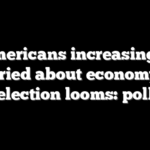 Americans increasingly worried about economy as election looms: poll