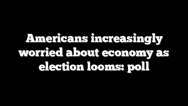 Americans increasingly worried about economy as election looms: poll