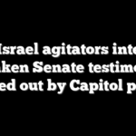 Anti-Israel agitators interrupt Blinken Senate testimony, hauled out by Capitol police