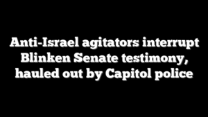 Anti-Israel agitators interrupt Blinken Senate testimony, hauled out by Capitol police